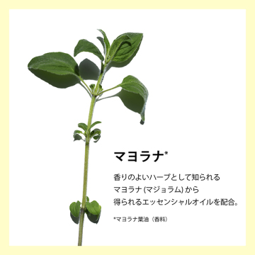 ボディ オイル アンティ オー 03