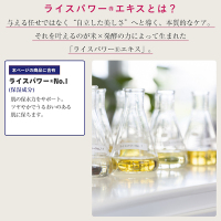 UVプロテクトミルク / ライスフォース(日焼け止めミルク, 日焼け対策