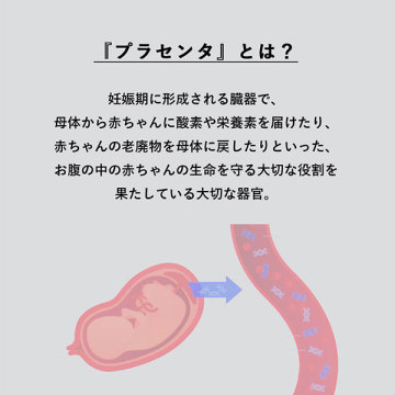 プラコンク 02