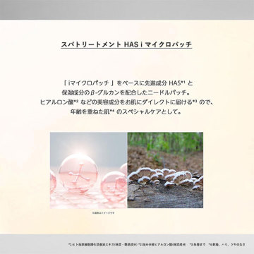 HAS iマイクロパッチ 02