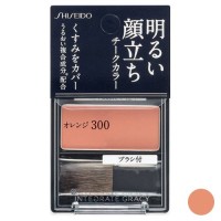 チークカラー / オレンジ300