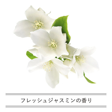 iroha INTIMATE WASH moist 03