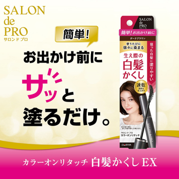 カラーオンリタッチ 白髪かくしEX 02