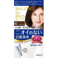 無香料ヘアカラー 早染めクリーム(白髪用) / 本体 / 6 ダークブラウン / 1剤40g・2剤40g / 無香料