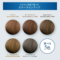 【3本セット】ルプルプ　ヘアカラートリートメント モカブラウン　ダークブラウン ヘアカラートリートメント / ルプルプ(ヘアカラートリートメント