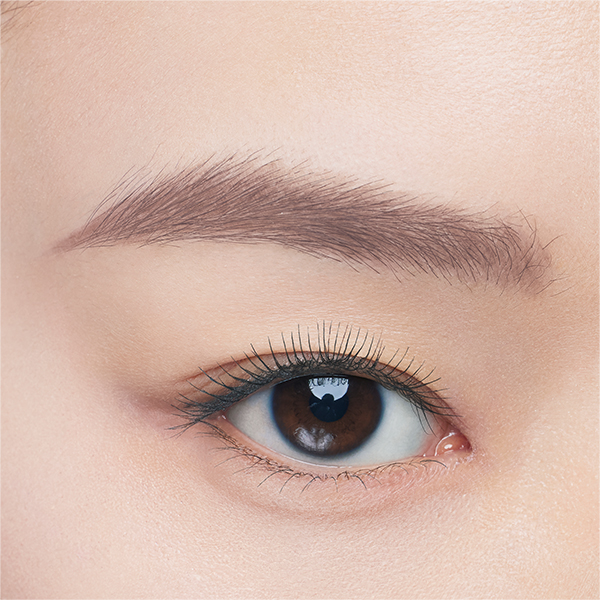 ハード フォーミュラ ハード9 / シール ブラウン 1