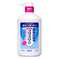 デンタルリンス ソフトミント 薬用洗口液 / 本体 / ポンプ / 1000ml / ソフトミント