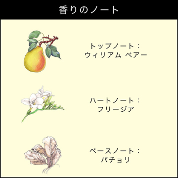 イングリッシュ ペアー & フリージア コロン 03