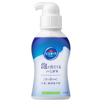 泡ハミガキ マイルドタイプ / 本体 / 190ml