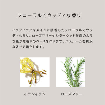 H&HリペアコンディショナーN 05