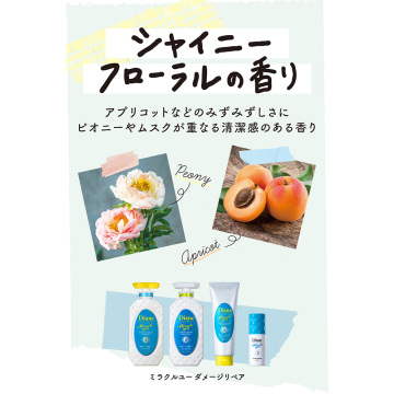 ダイアンパーフェクトビューティー ミラクルユー トリートメント 02