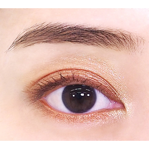 カラーステイ ルックス ブック パレット / レブロン(パウダーアイ