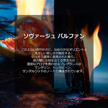 ソヴァージュ パルファン 05