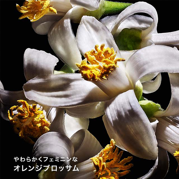 リブレ オーデパルファム / イヴ・サンローラン(香水, 香水