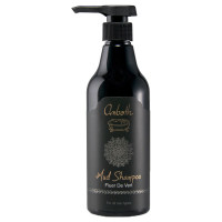 Mud Shampoo FDV / 500ml