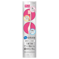 ピュオーラGRANハブラシ ていねい磨き / 本体 / 17g / ふつう
