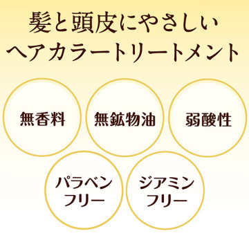 ヘアカラートリートメント 04