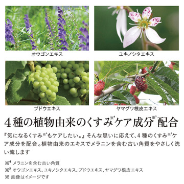 iroha INTIMATE WASH 【 FOAM TYPE 】 05