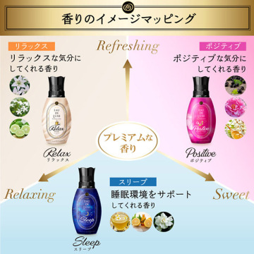 レノア オードリュクス マインドフルネスシリーズ ポジティブ 05