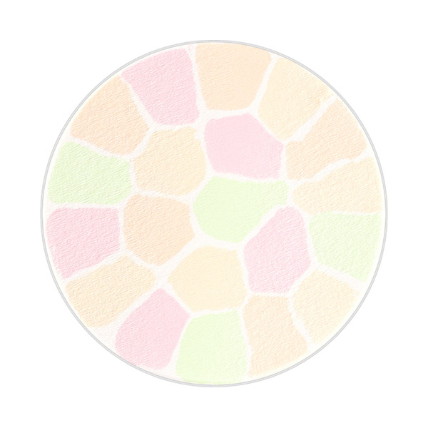 ラ プードル オートニュアンス / VI / 9g / レフィル