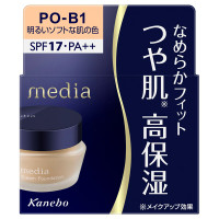 本体 / PO-B1 / 25g