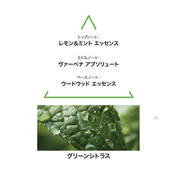 ボタニカルコロン アブソリュート アクアミレフォリア 02