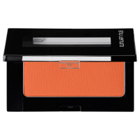 フェイス カラー / リフィル / M ラスティ オレンジ 577 / 3g