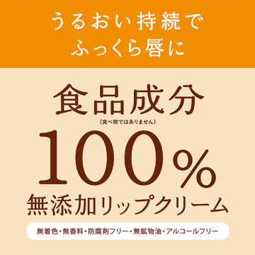 リップクリームN 02
