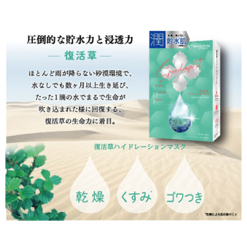 復活草ハイドレーションマスク 02