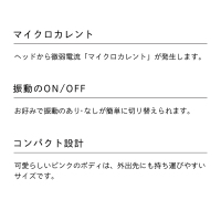 おひとり様1点まで】リファ ビューテックポイント / リファ(フェイス