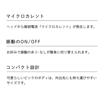 【おひとり様1点まで】リファ ビューテックポイント 05
