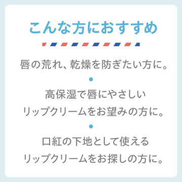 モイストリップ(無香料) 04