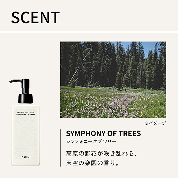 AMBRE NUIT ボディローション 3点セット DIOR】 メゾン クリスチャン ディオール アンブル ニュイ ハンド
