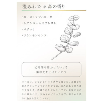 アロマゴコチ ウッディ 02