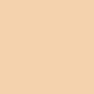 イーブン ベター ブライト セラム ファンデーション 20 02
