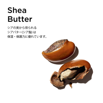 モイスチャー リッチ ボディ ローション 02