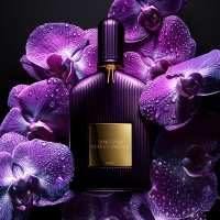 【廃盤・極美品】トムフォード ヴェネチアン ベルガモット 50ml ハワイ購入 トム フォード ヴェルベット オーキッド オード パルファム スプレィ
