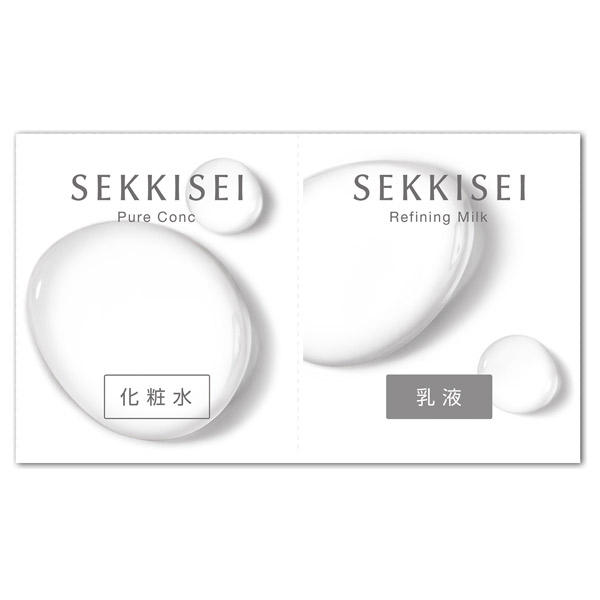 ꥢͥ 1Day ȥ饤 ե꡼ / 1å / ̵