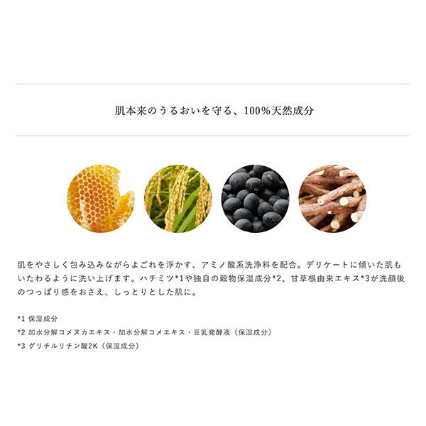 エステツイン　SE ウォッシングムース　洗顔料　350ml 2個セット マイセンシュア ウォッシングムース