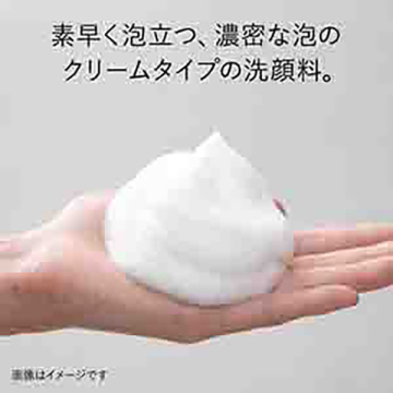 カネボウ リフレッシング クリーミィ ウォッシュa 04