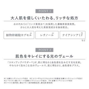 プレミアム ビジョンファンデーション 05