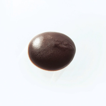 MOTTOボタニカラーシャンプーポンプ式 02