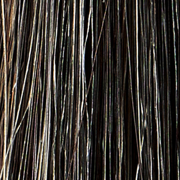 MOTTOボタニカラーシャンプーポンプ式 03