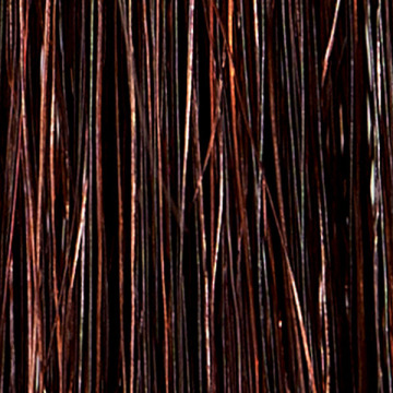 MOTTOボタニカラーシャンプーポンプ式 04