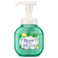 ビオレ ザ ハンド 泡ハンドソープ ボタニカルハーブの香り / 本体 / 250ml / ハーブ
