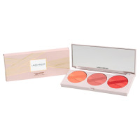 【数量限定】スタンディングオベーション チーク パレット / 左から 09 PEACH 02 ROSE 10 GRAPEFRUIT / 左から 09 PEACH 02 ROSE 10 GRAPEFRUIT