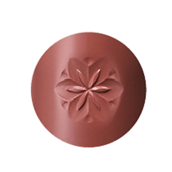 リップケア #deco# AQ リップスティック / コスメデコルテ(口紅, メイクアップ)の