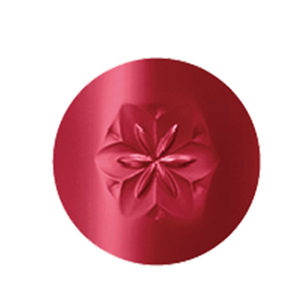 赤リップとリップコート セット❣️ 赤リップとリップコート セット❣️ 赤リップとリップコート セット