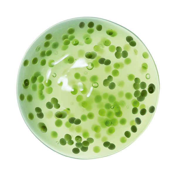 クレマ ネラ RV コンセントレート / アルマーニ ビューティ(美容液