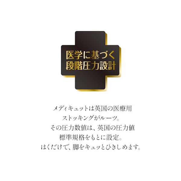 メディカルストッキング / ヌーディーベージュ / L-LL 1